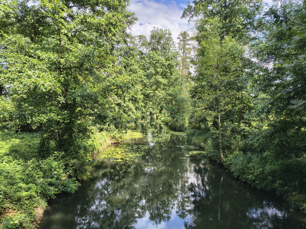 Blick auf einen Kanal im Spreewald
