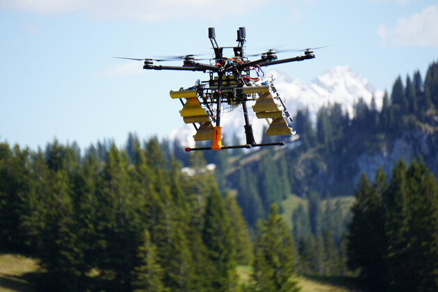 Drohne fliegt über einen Wald