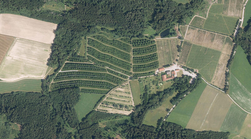 Luftbild von bayerischen Baumplantagen