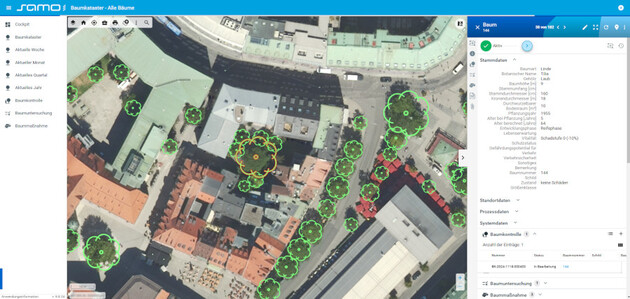 In einen Stadtplan sind Bäume eingezeichnet